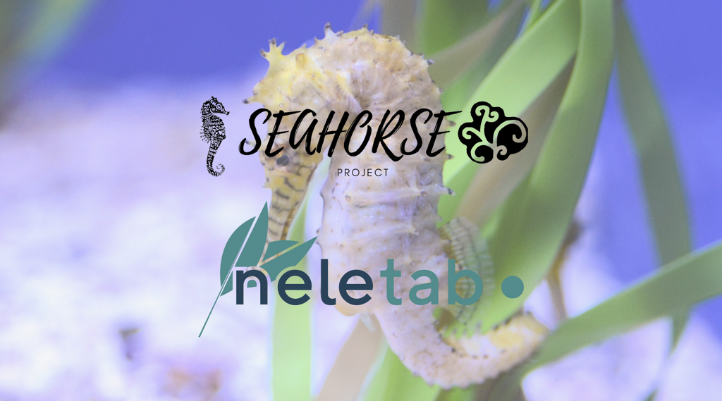 Salvando al Caballito de Mar: La Iniciativa de Ambiens y Neletab